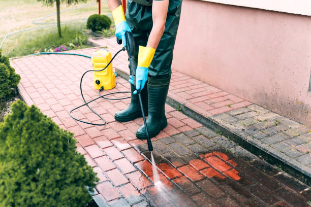 Professional Pressure Washing in Whitesboro, AL